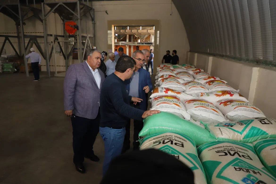Урожай риса в Дагестане может достигнуть 135 тыс. тонн в 2022 году